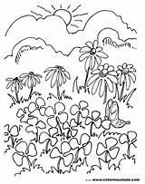 Ausmalbilder Wald Blumen Lichtung sketch template