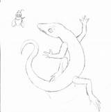 Anole Green Lizard Coloring Template sketch template