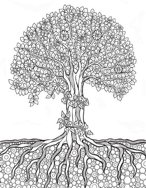 tree coloring pages  adults  getdrawings