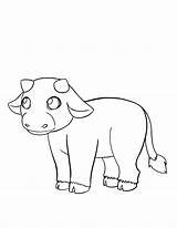 Colouring Cows Kunjungi sketch template