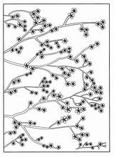 Cerisier Japonais Japon Coloriages Ausmalbilder Blossoms Kirsche Giappone Adultes Adulti Joli Ciliegio Justcolor Comments Difficiles Précédent sketch template