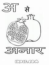 Letter Alphabets Anar Punjabi Kirti Bhatnagar sketch template
