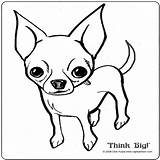 Coloring Pages Chihuahua Chiwawa Mix Getdrawings Dog Drawing sketch template