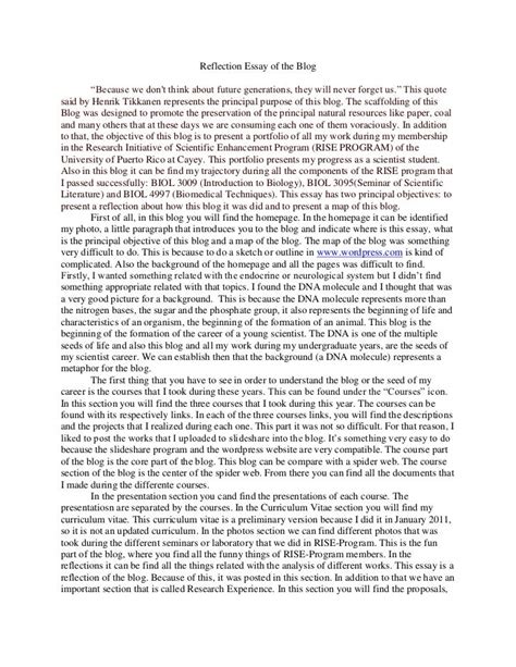 reflection essay   blog