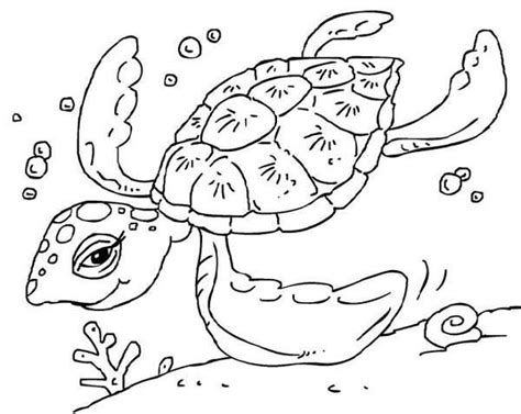 green sea turtle coloring pages turtle coloring pages animal