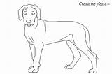 Ridgeback Rhodesian Lineart sketch template