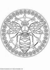 Mandala Bee Coloring Pages Printable Choose Board Color sketch template