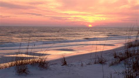 gulf shores al  holiday houses stayz