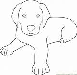 Dog Coloring Sitting Cute Pages Printable Coloringpages101 Color sketch template