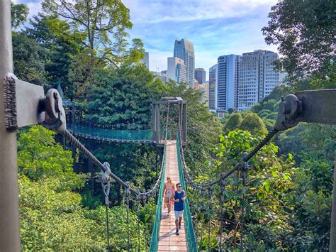 kl forest eco park     canopy walk fun hike