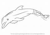 Dolphin Winter Drawing Draw Step Mammals Marine Animals Tutorial Tutorials Drawingtutorials101 sketch template