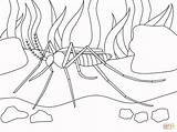 Mosquito Supercoloring sketch template