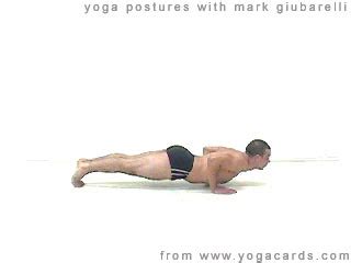 yoga poses layout  asanas  yoga exercise sequences