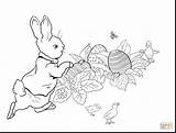 Coloring Rabbit Peter Beatrix Potter Pages Dog Dirty Harry Color Easter Hunting Bunny Drawing Pigeon Tree Knuffle Getcolorings Hunt Egg sketch template