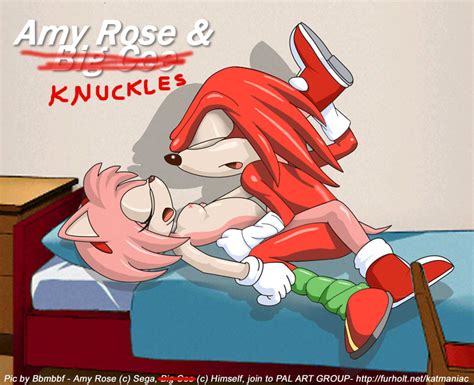 Rule 34 Ambiguous Penetration Amy Rose Anthro Bbmbbf Color Echidna