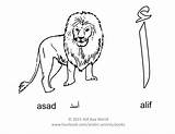 Alphabet Arabic Alif Letter Coloring Asad اسد Lion Letters Kids Animal English Draw First Pages Activities Worksheets Amazon Activity Color sketch template