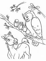 Coloring Pages Spirit Animal Horse Choose Board sketch template