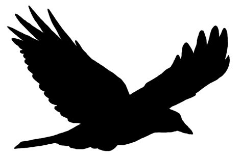 crow bird silhouette  getdrawings