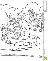 Vicino Sveglio Lemure Coloritura Pagine Siedono sketch template