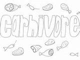 Carnivore Colouring sketch template