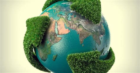 O Que é Sustentabilidade Ambiental Conceito E Exemplos Enciclopédia