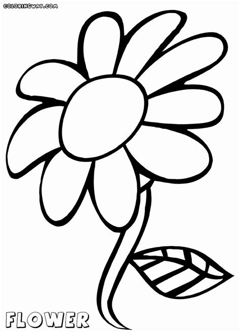 flower petals coloring pages lovely  petal flower drawing