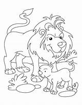 Lion Coloring Cub Pages Lamb Lions Detroit Drawing Clipart Outline Kids Printable Color Getdrawings Getcolorings March Library Clip Template Popular sketch template