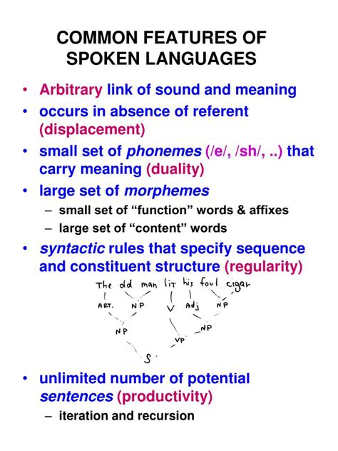 common features  spoken languages powerpoint