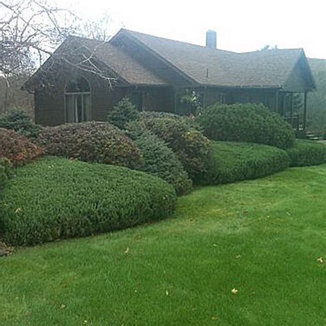 epic landscapes  lawn care maintenance services