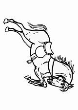 Saltando Paard Springend Colorear Caballo Kleurplaat Pferd Springendes Malvorlage Cavallo Educima Disegno Educolor sketch template