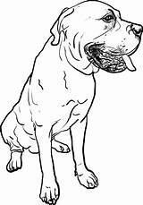 Mastiff English Dog Pose Sitting Drawing Illustrations Stock Background sketch template