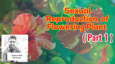 ශාක ප්‍රජනනය 1 කොටස Plant Reproduction Part 1 Parts Of Flower