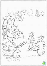 Rabbit Peter Coloring Pages Potter Beatrix Colouring Books Popular Printable Library Clipart Choose Board Coloringhome sketch template