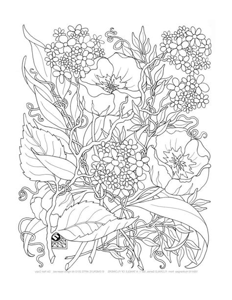 adult  coloring pages coloring home
