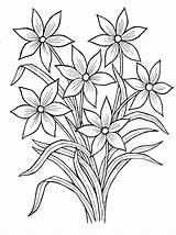 Blumenstrauss Ausmalbild Kostenlos Coloring Narcissus Malvorlagen sketch template