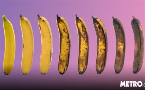 What Happens To Your Penis As You Age Life Style