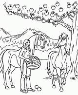 Spirit Coloring Pages Animal Gif Colouring Zoo Coloringpages1001 Horse Rain Disney Choose Board Picgifs sketch template