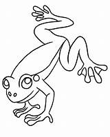 Frog Jumping Coloring Clipart Leaping Pages Tree Cliparts Colouring Library Panda Presentations Websites Reports Powerpoint Projects Use These Clipartpanda Favorites sketch template