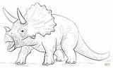 Triceratop Dinosaurus Kleurplaat Printen sketch template