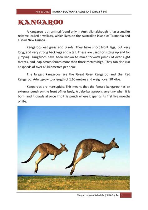 report text  kangaroo