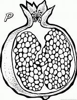 Pomegranate Dumielauxepices sketch template