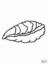 Oyster Ostrica Mussel Disegno Designlooter sketch template