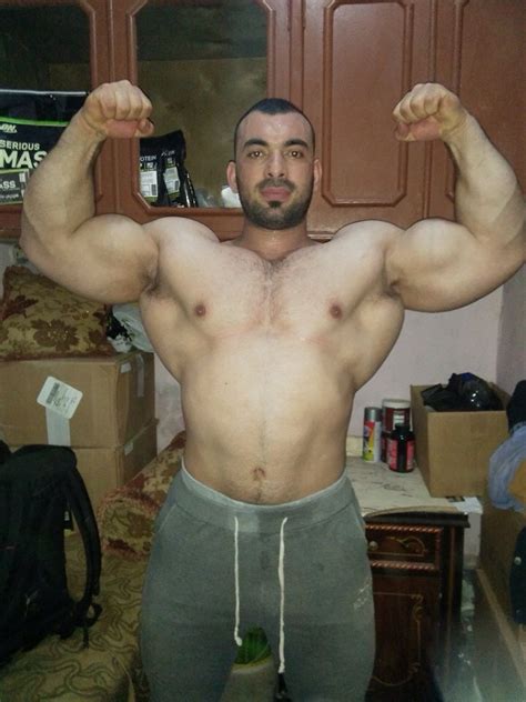 arab and muslim muscle