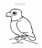Eagle Coloring Pages Baby Kids Simple sketch template