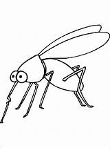 Mosquito Dengue Transmissor sketch template