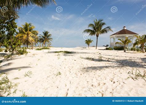 beach gazebo stock image image  summer green palm