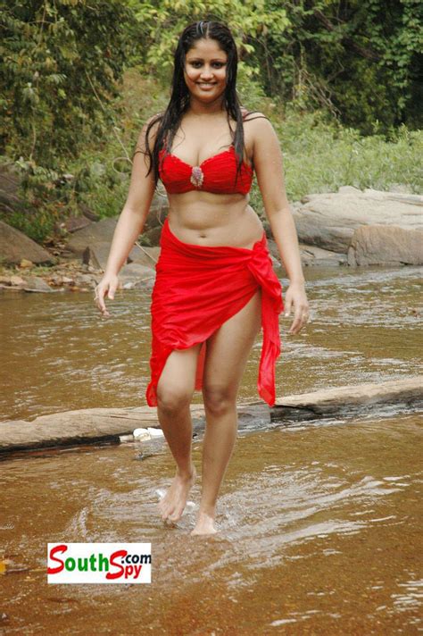indian sexy lady south indian sexy girl