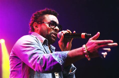 reggae artist shaggy says all mainstream music is recycled daily star