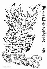 Pineapple Coloring Pages Printable Kids Cool2bkids Sheets Sheet Pineapples Choose Board sketch template