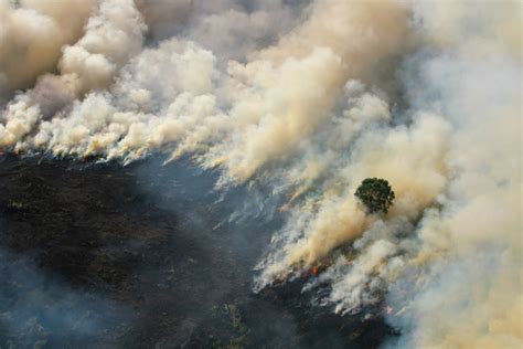 malaysia mad  indonesia  smog  massive forest fires south china morning post